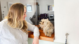 Empfang der Tierarztpraxis Hassel. Eine Frau vor dem Tresen und ein Hund darauf